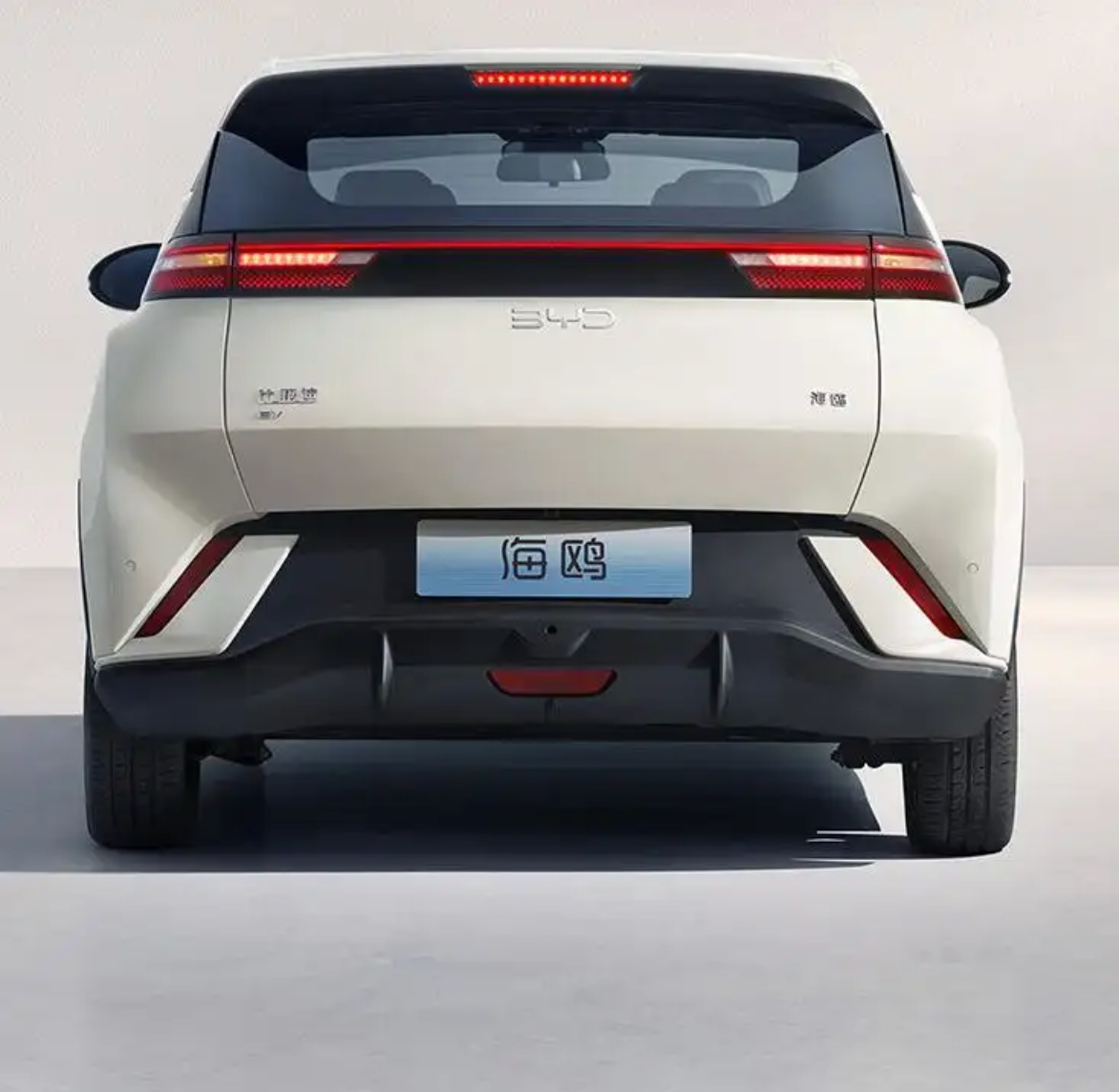 BYD Seagull Electric Mini Car Afable New Energy Vehicle