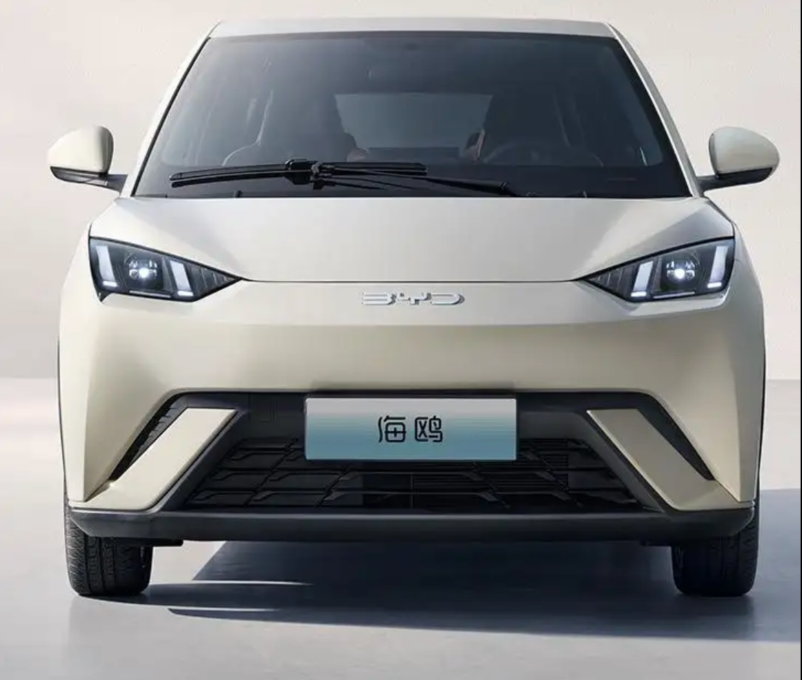 BYD Seagull Electric Mini Car Afable New Energy Vehicle